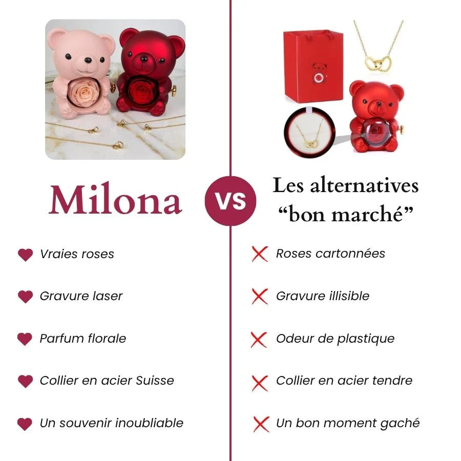 Eternal Rose Bear & Personalized Necklace